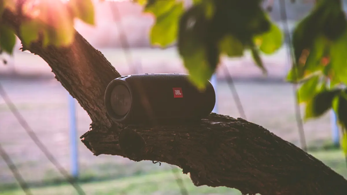 A portable Bluetooth speaker resting on a tree branch at sunset.